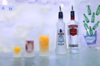 Amsterdam Ice Bar Tickets and Prices