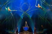 Cirque du Soleil - Amaluna Paris Tickets and Prices