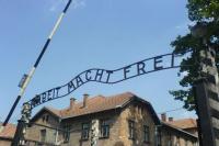 Auschwitz Memorial and Museum Tickets and Prices