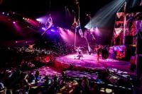 Mallorca Pirates Adventure Show Tickets & Prices