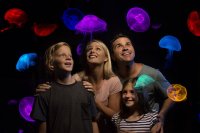 Underwater World Sea Life Tickets & Prices