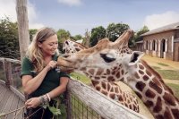London Zoo Tickets and Prices