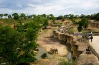 Bioparc Zoo de Doué la Fontaine