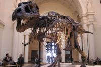 Chicago CityPASS Prices