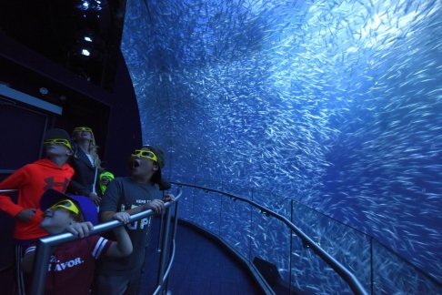 National Geographic Encounter - Ocean Odyssey