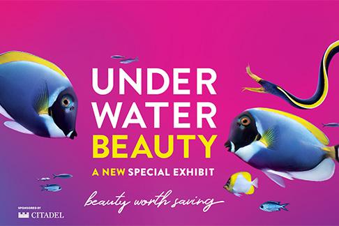 shedd aquarium tickets prices