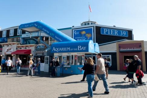 San francisco aquarium groupon Aquarium of the Bay at PIER 39 is the home to over 20, animals found in and around San Francisco Bay and the California Coast. The 50, square foot aquarium features four main exhibit areas: Discover the Bay introduces guests to eight animal habitats and over a Price: $